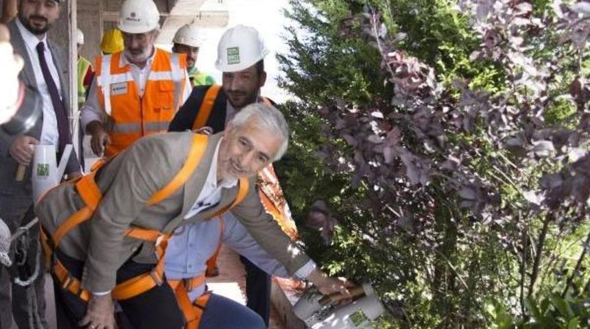 T&uuml;rkiye'nin Ilk "dikey Orman' Projesinde Ilk Ağa&ccedil; Dikildi