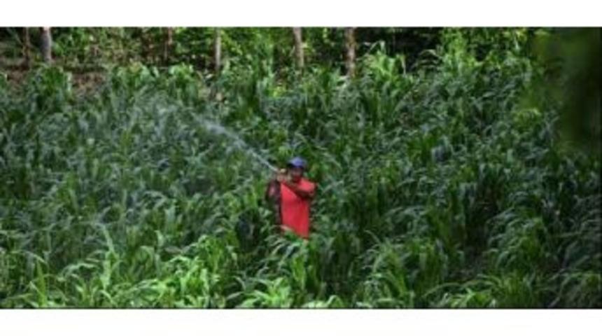 Fao Gıda Fiyat Endeksi Haziran&rsquo;Da Y&uuml;kseldi