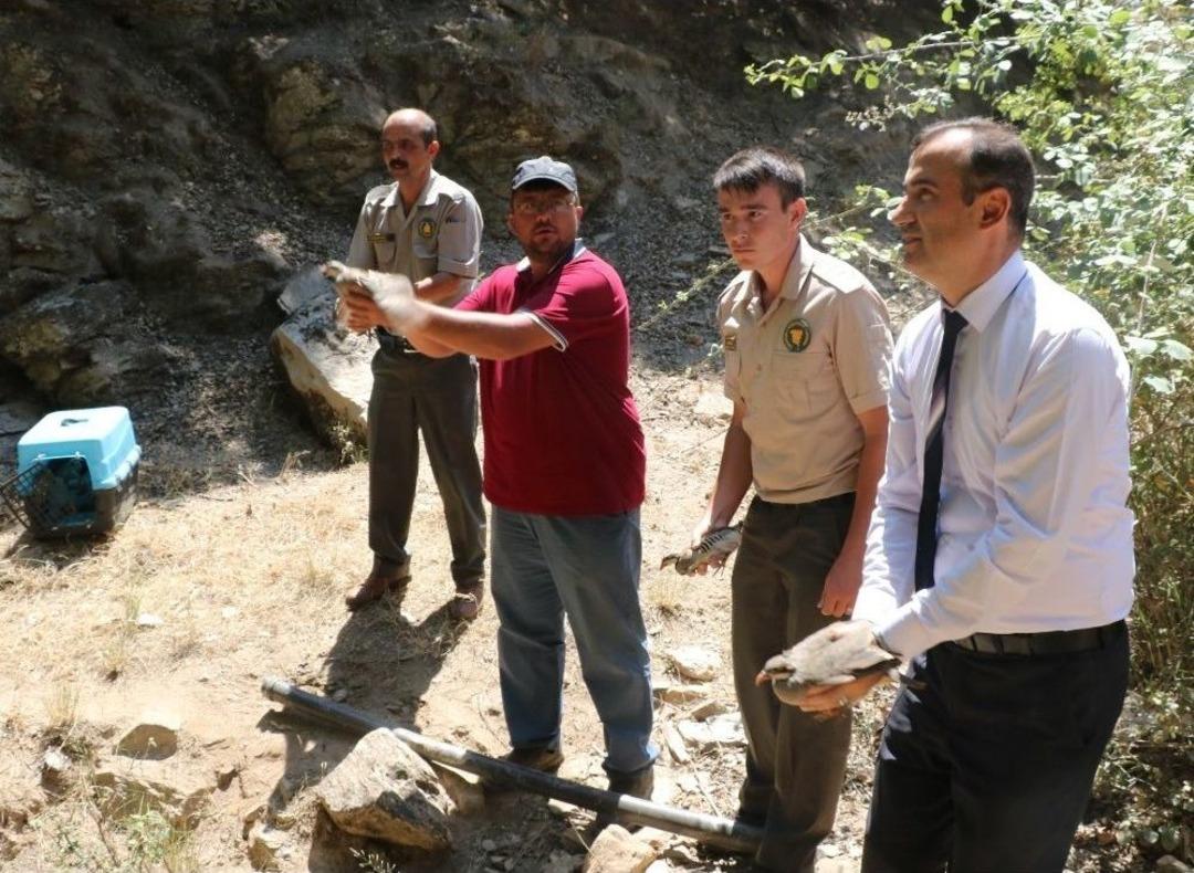 Manisa&rsquo;da 4 Bin Keklik Doğayla Buluştu