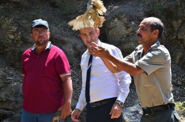 Doğaya 4 Bin Kınalı Keklik Salındı 1