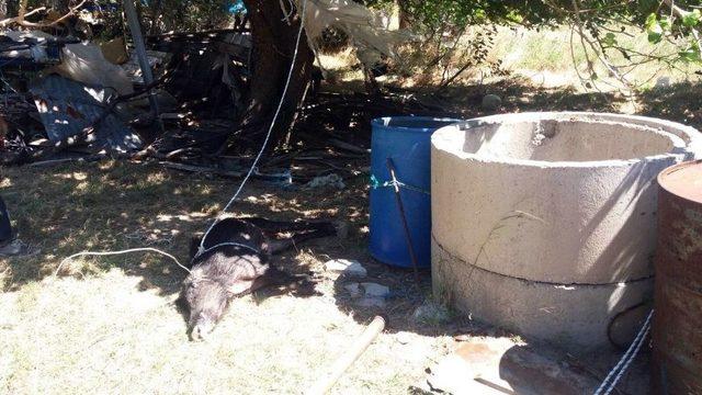 Su Kuyusuna Düşen Kadını İtfaiye Kurtardı 1