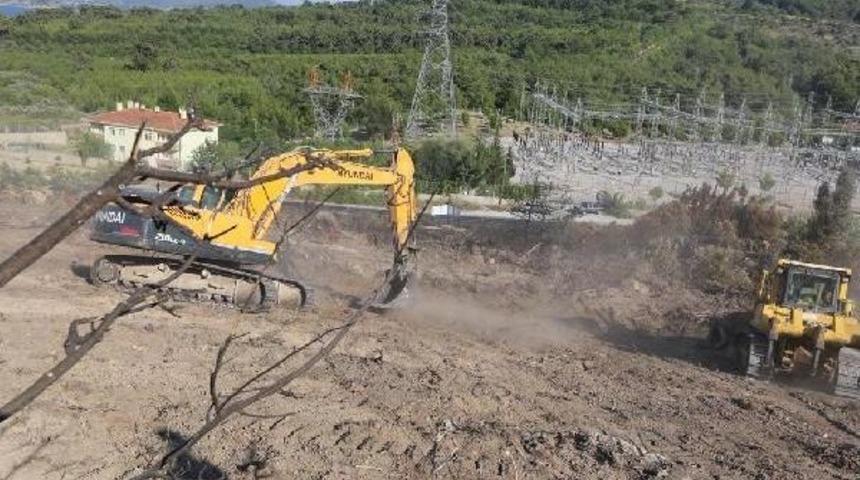 Menderes'te Ağa&ccedil;landırma Hazırlığı