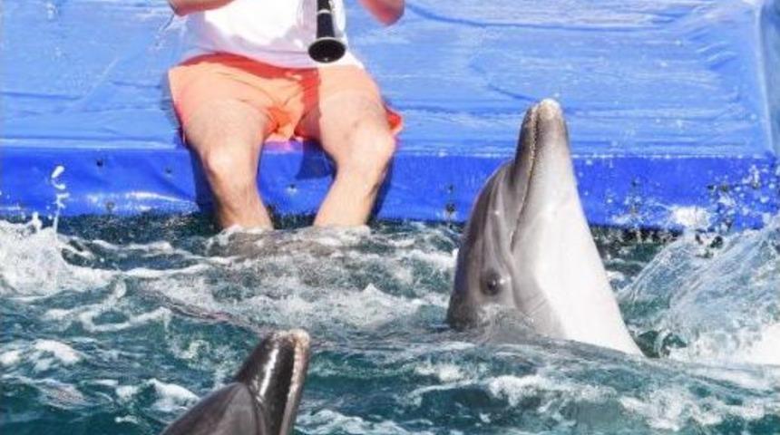 Klarnet Ustasından Yunuslarla Mini Konser