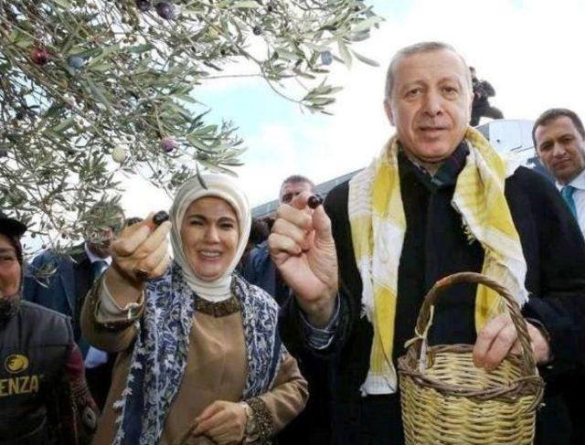 Cumhurbaşkanı Erdoğan ın Ayvalık Ziyaretindeki Fotoğrafı Tablo Haline Getirildi 1