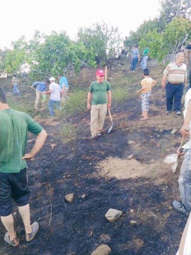 Dumanı Gören, Dağa Koştu Yangın Hemen Söndürüldü