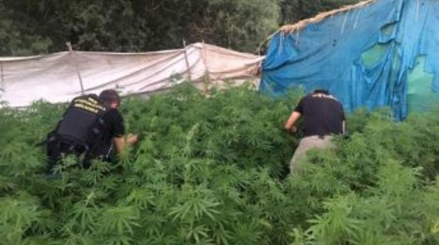 Muş&rsquo;ta Uyuşturucu Operasyonu