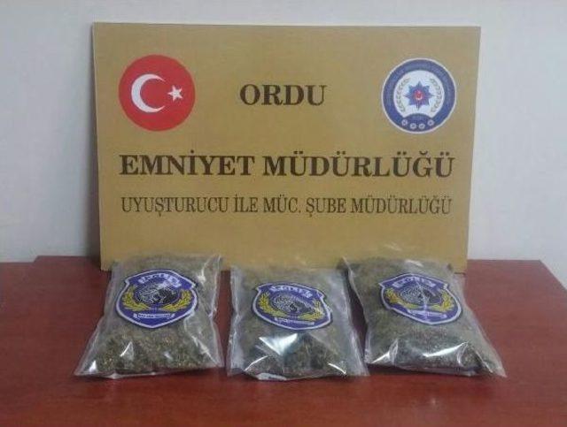 Ordu'da 6 Ayda Uyuşturucu Satmaktan 80 Kişi Tutuklandı