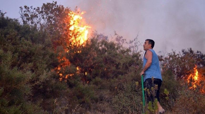 Didim&rsquo;deki Yangın Yazlık&ccedil;ıları Korkuttu