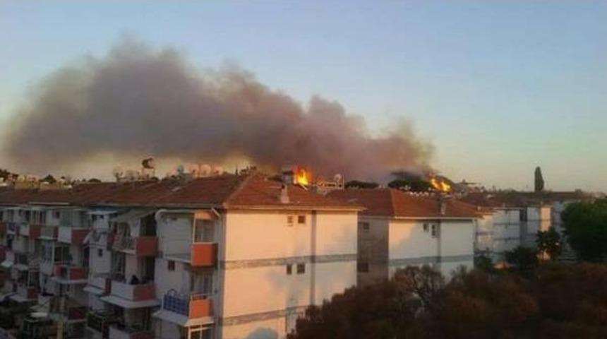 Didim'de 20 Dekar Makilik Alan Yandı