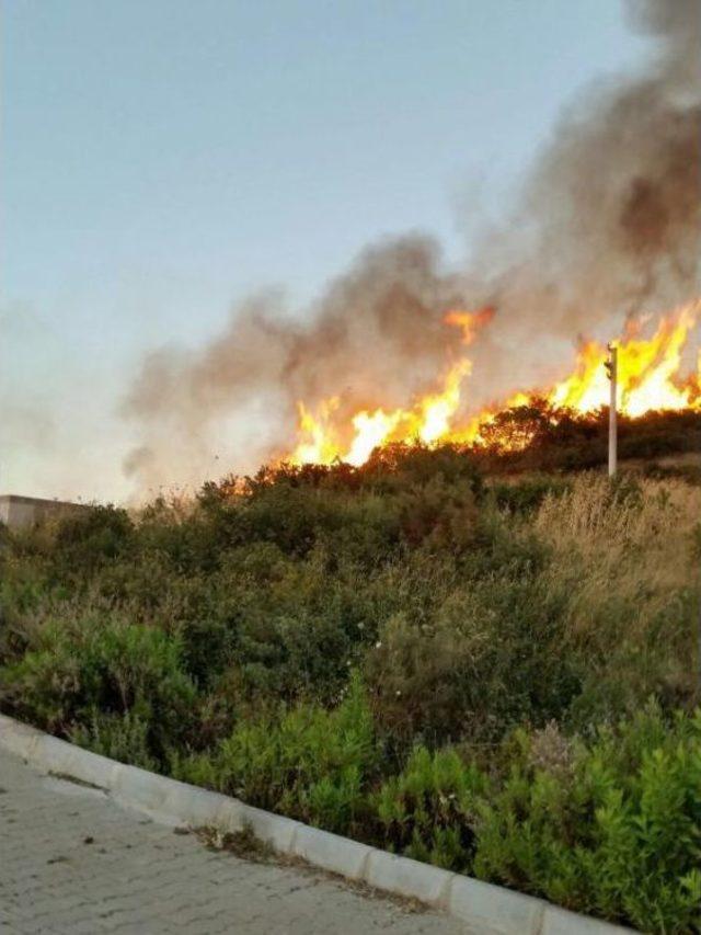 Didim'de 20 Dekar Makilik Alan Yandı