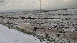 Digor’U Dolu Vurdu