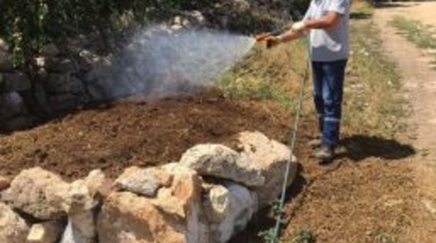 G&ouml;rdes&rsquo;te Haşereyle M&uuml;cadele S&uuml;r&uuml;yor