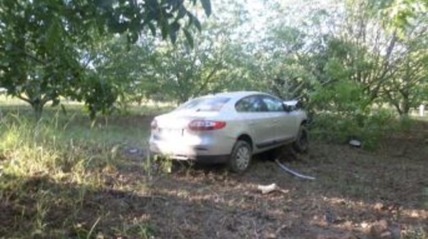 Tekirdağ&rsquo;da Otomobil Meyve Bah&ccedil;esine Daldı: 4 Yaralı