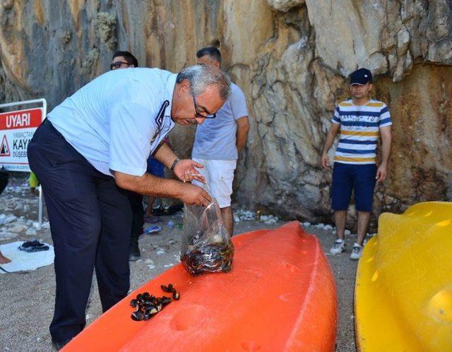 Olimpos Ve &Ccedil;ıralıa Sahilinde Seyyar Satıcı Operasyonu 1