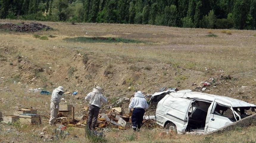 Kaza Yapan Ara&ccedil;taki Arılar Korku Sa&ccedil;tı