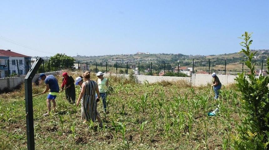 Engelli &Ccedil;ocuklar İ&ccedil;in Tarımsal &Ccedil;alışma Başlatıldı