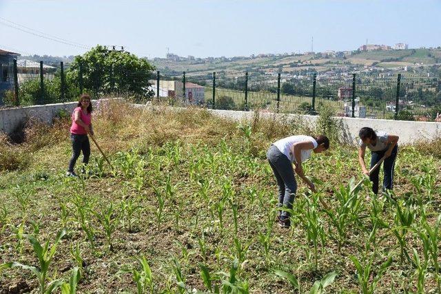 Engelli Çocuklar İçin Tarımsal Çalışma Başlatıldı 1