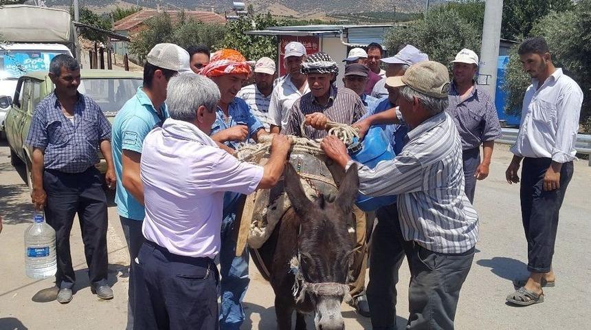 Yıl 2017 Ama Eşeklerle Su Taşıyorlar