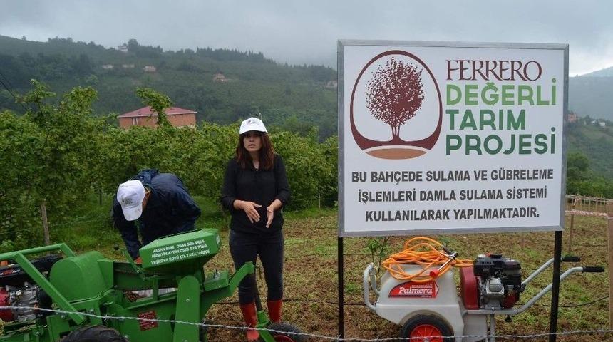 Fındık Bah&ccedil;elerinde Devrim