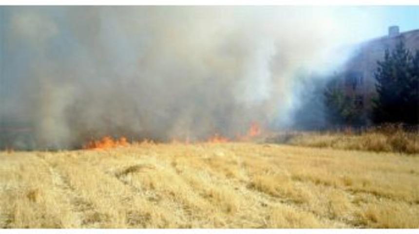 Bilecik’te Anız Yakanlar Yandı