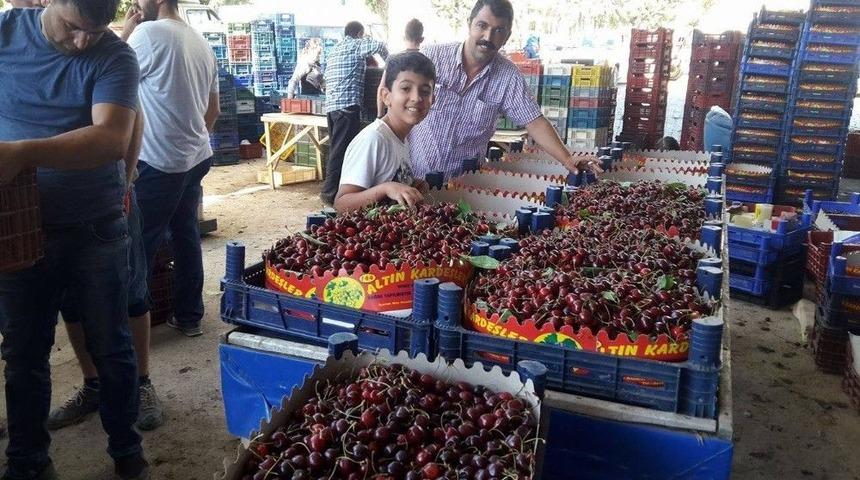 Pazarlar&rsquo;da Kiraz Sezonu Sona Erdi