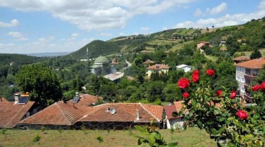 Yalova&rsquo;Daki Boşnak K&ouml;y&uuml; Soğuksu, Eski Adı Ayazma'yı Istiyor