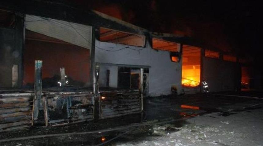 Yumurta Kabı Fabkrikasında Korkutan Yangın (2) - Yeniden