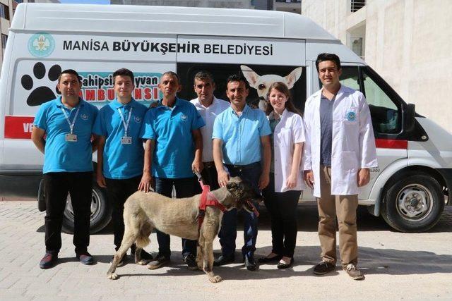 İşkenceye Maruz Kalan ’masum’ Yeni Ailesine Kavuştu