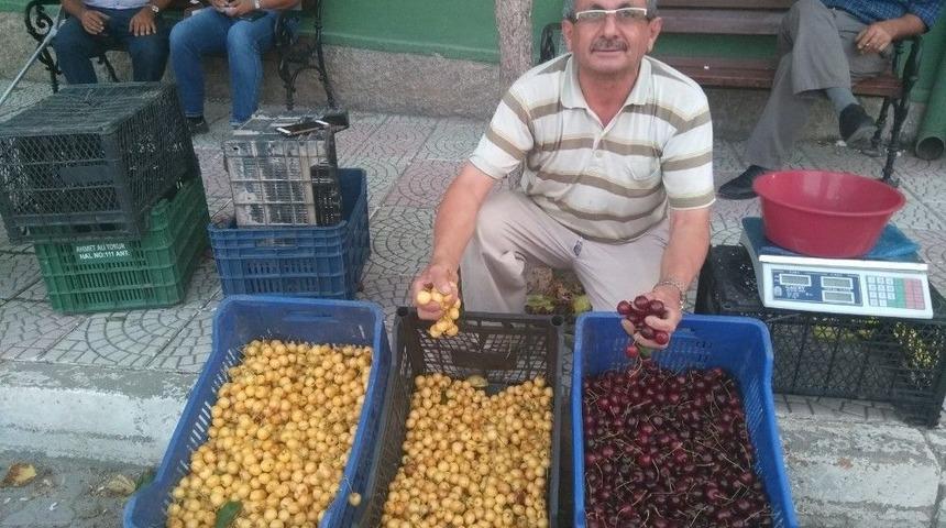 Hisarcık&rsquo;ta Beyaz Kiraza Rağbet Arttı