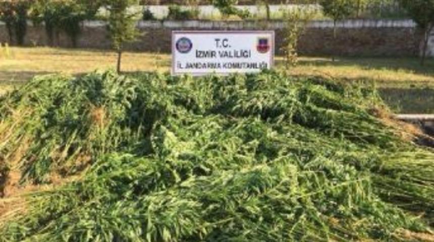 Jandarmadan Hintkeneviri Operasyonu