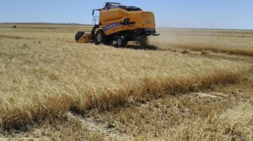 Kulu&rsquo;da Tarımsal Mahsul Hasadı Başladı