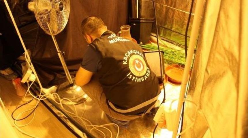 Kanada'dan Kargoyla G&ouml;nderilen Uyuşturucu, Rutin Posta Kontrol&uuml;nde Tespit Edildi