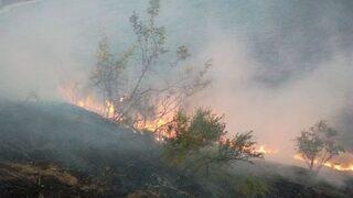 Doğanyol’daki Arazi Yangını Güçlükle Kontrol Altına Alındı