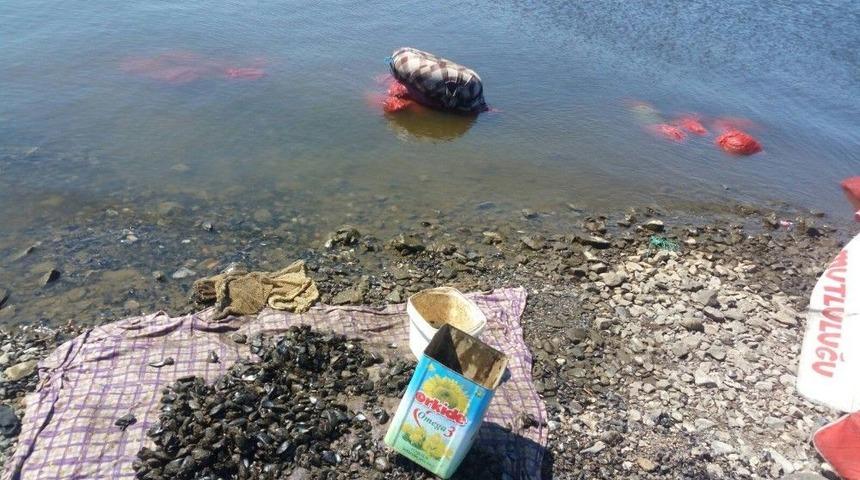 Aliağa&rsquo;da 1 Ton Ka&ccedil;ak Midye Ele Ge&ccedil;irildi