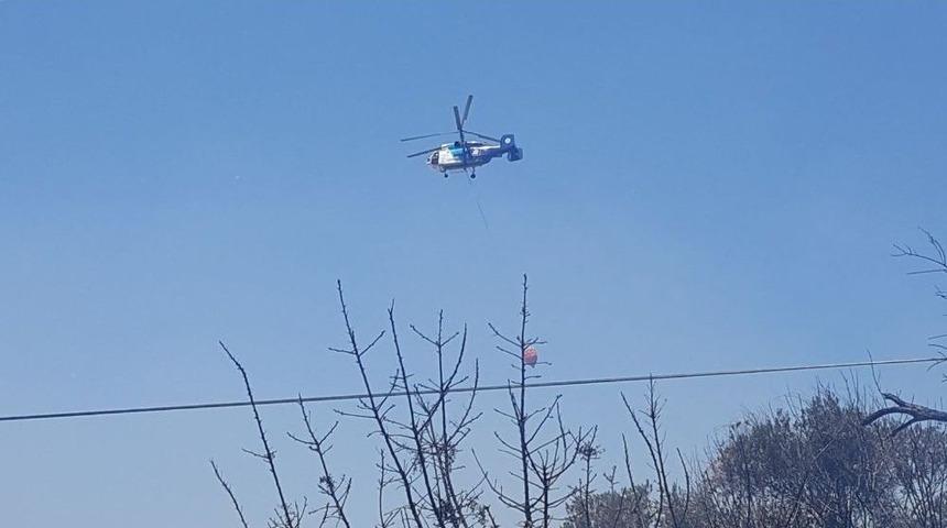 Antalya&rsquo;daki &Ccedil;alılık Yangını: 5 Ev Boşaltıldı