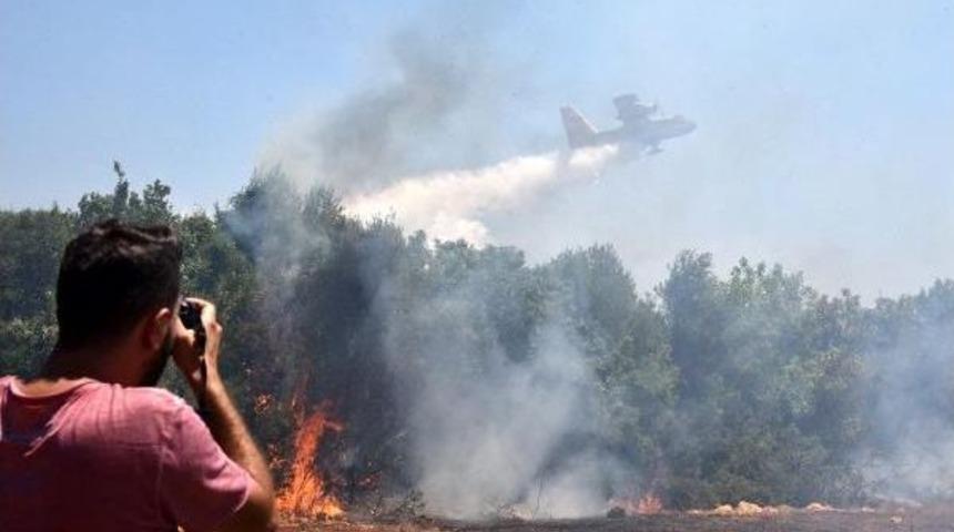 Antalya'da &Ccedil;alılık Yangını Ucuz Atlatıldı