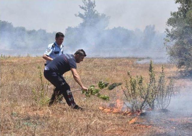 Antalya'da Çalılık Yangını Ucuz Atlatıldı