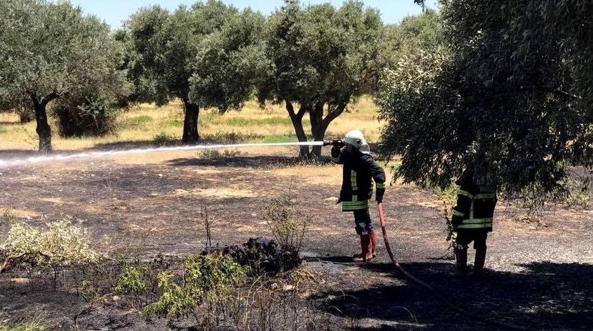 S&ouml;ke&rsquo;de İki Saat İ&ccedil;inde 3 Farklı Noktada Kuru Ot Yangını