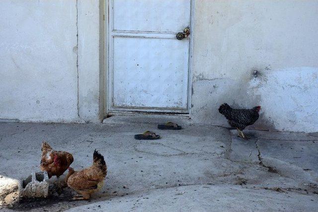 Adıyaman’da 27 Köy Susuz Kaldı