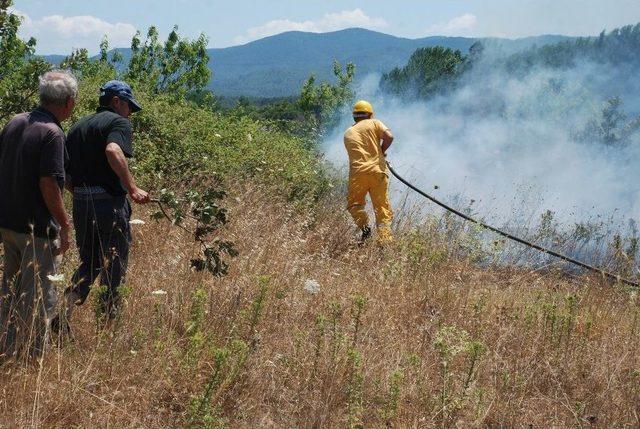 Çanakkale’de Arazi Yangını