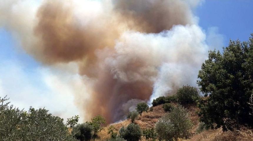 Nazilli&rsquo;de 3 Hektar Tarım Arazisi K&uuml;l Oldu