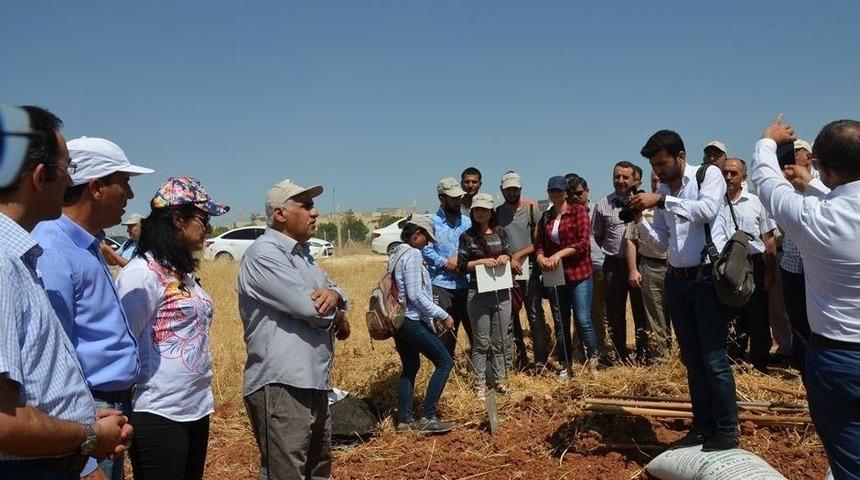 Harran &Uuml;niversitesi&rsquo;nden &Ouml;rnek &Ccedil;alışma