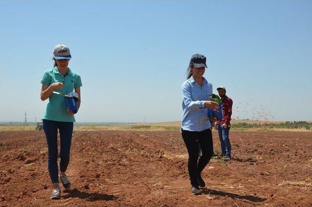 Harran Üniversitesi’nden Örnek Çalışma