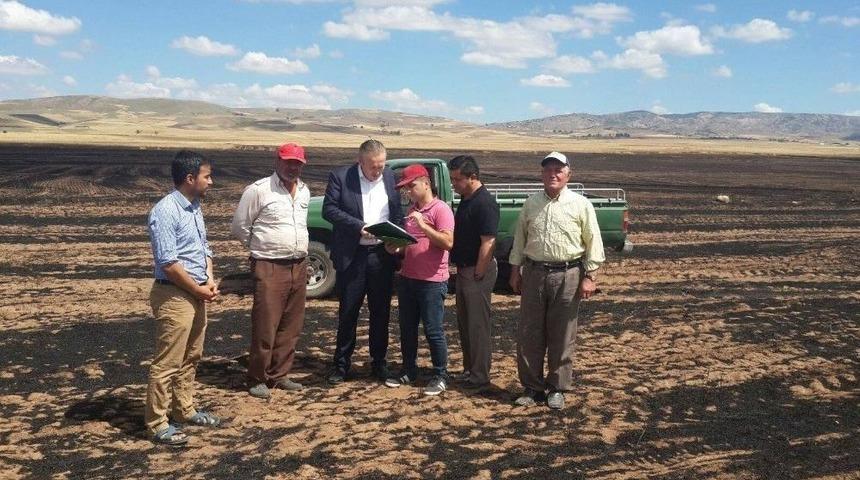 Sungurlu&rsquo;da Arazi Yangının Bilan&ccedil;osu Ortaya &Ccedil;ıktı