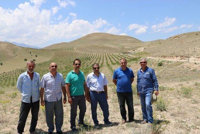 Erzincan’da Tarımsal Üretim Yapan Tesislere Ziyaret