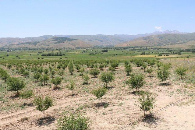 Erzincan’da Tarımsal Üretim Yapan Tesislere Ziyaret