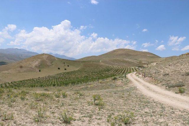 Erzincan’da Tarımsal Üretim Yapan Tesislere Ziyaret