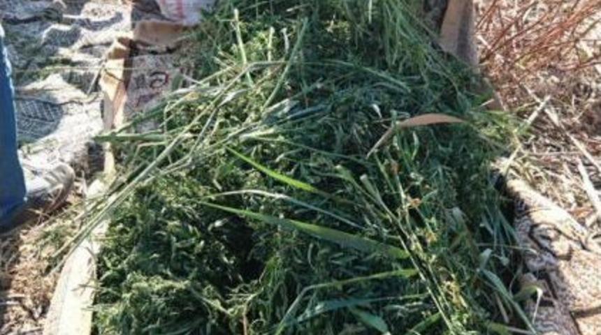 Nepal'den Getirdiği Uyuşturucu Ile Yakalandı