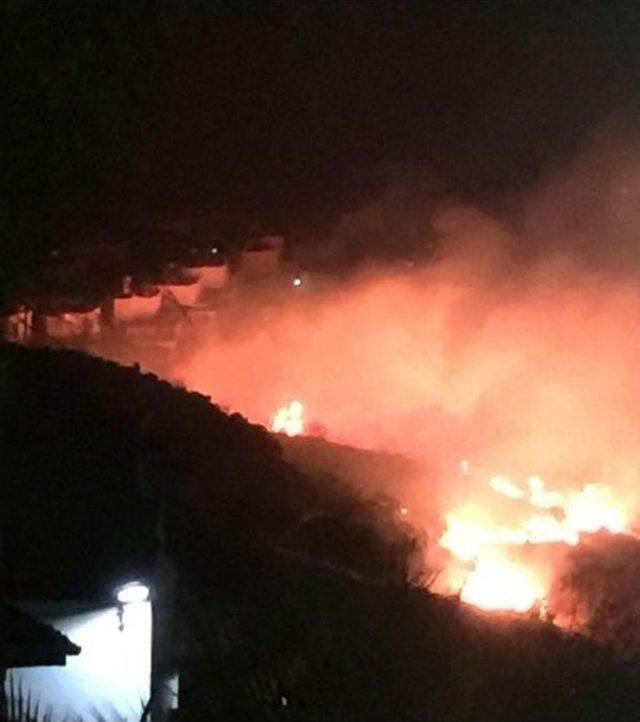 Bodrum'da Makilik Alanda Yangın Çıktı