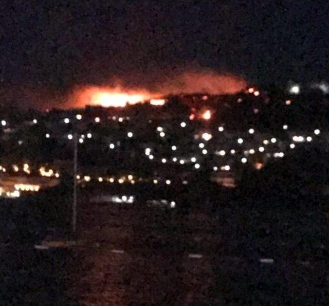 Bodrum'da Makilik Alanda Yangın Çıktı